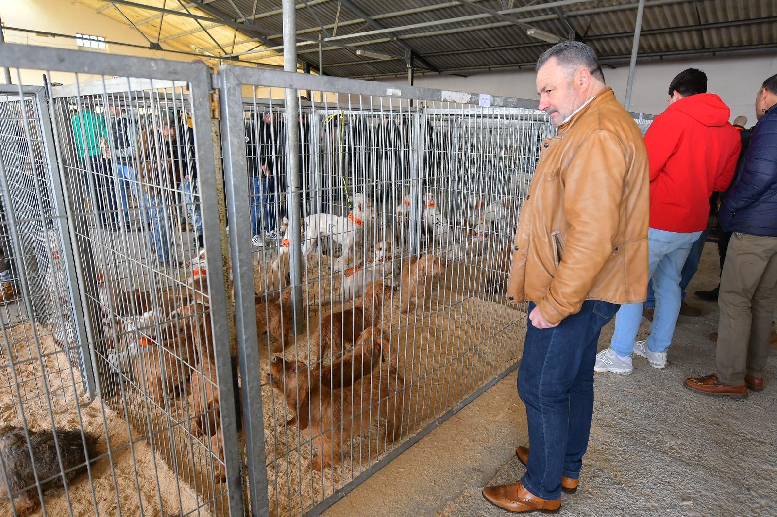 La XLIV Feria de perros de Caza de Camponaraya atrae a aficionados y cazadores durante el fin de semana 38