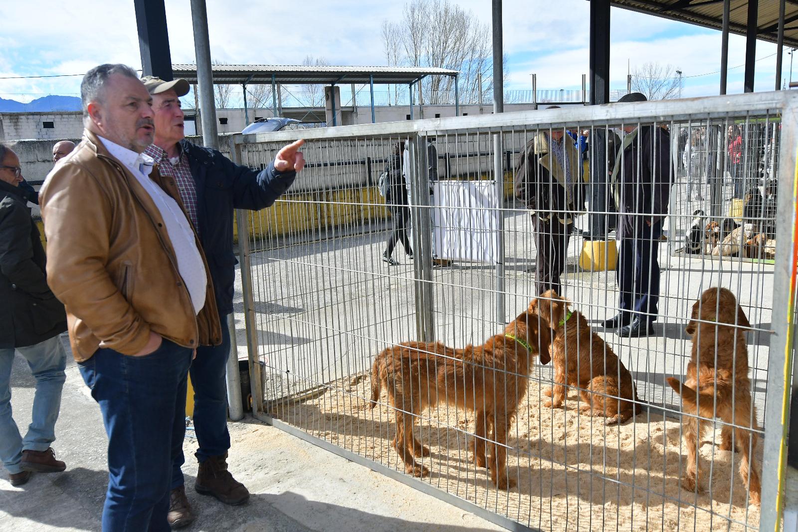 La XLIV Feria de perros de Caza de Camponaraya atrae a aficionados y cazadores durante el fin de semana 39