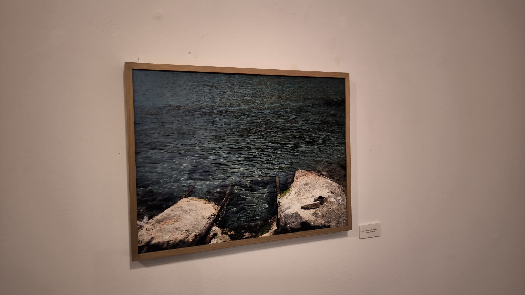 La mirada fotográfica de Cecilia Orueta y la escultura de Joseba Gotzon protagonizan las nuevas exposiciones del campus de Ponferrada 6