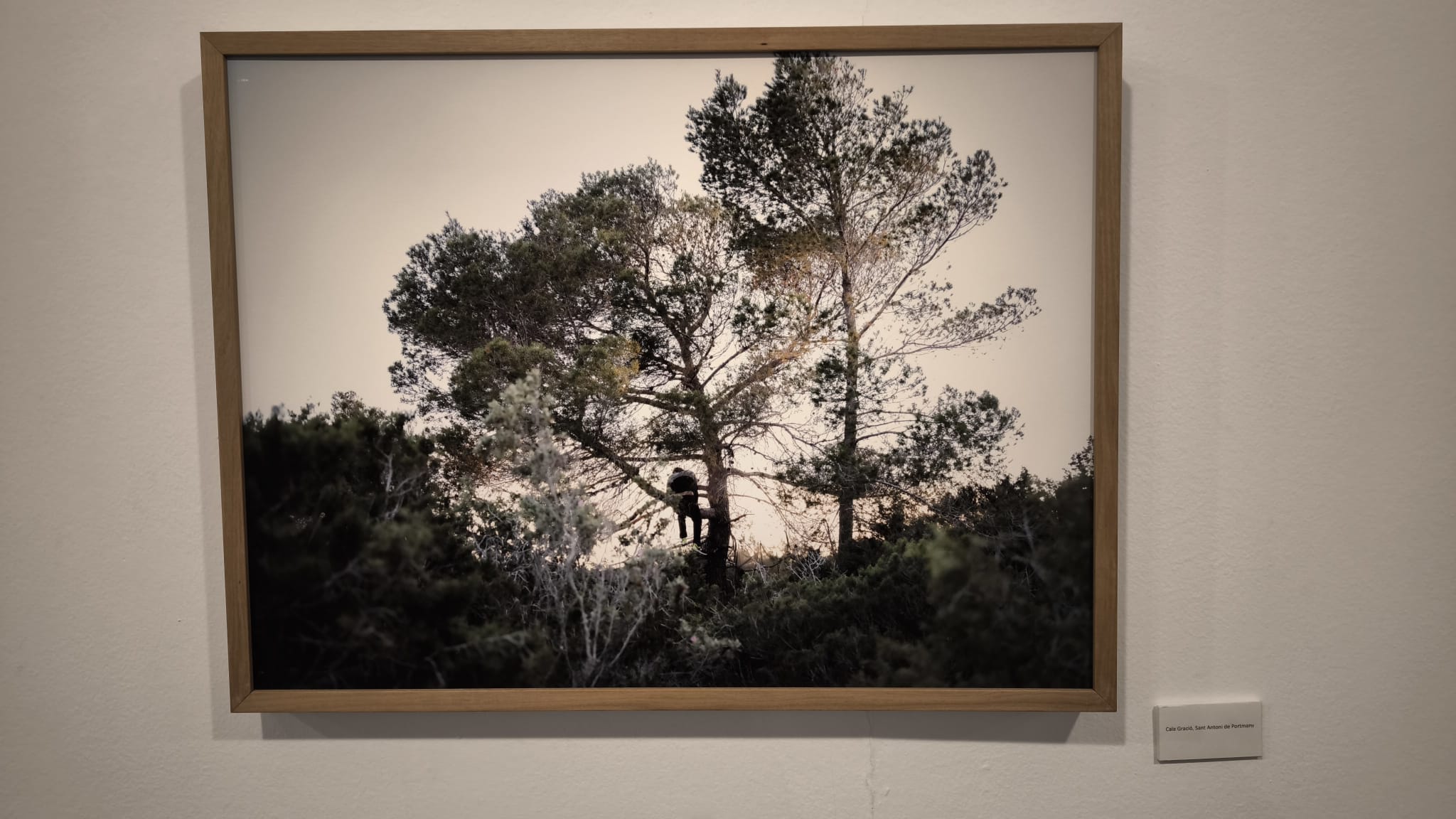 La mirada fotográfica de Cecilia Orueta y la escultura de Joseba Gotzon protagonizan las nuevas exposiciones del campus de Ponferrada 7