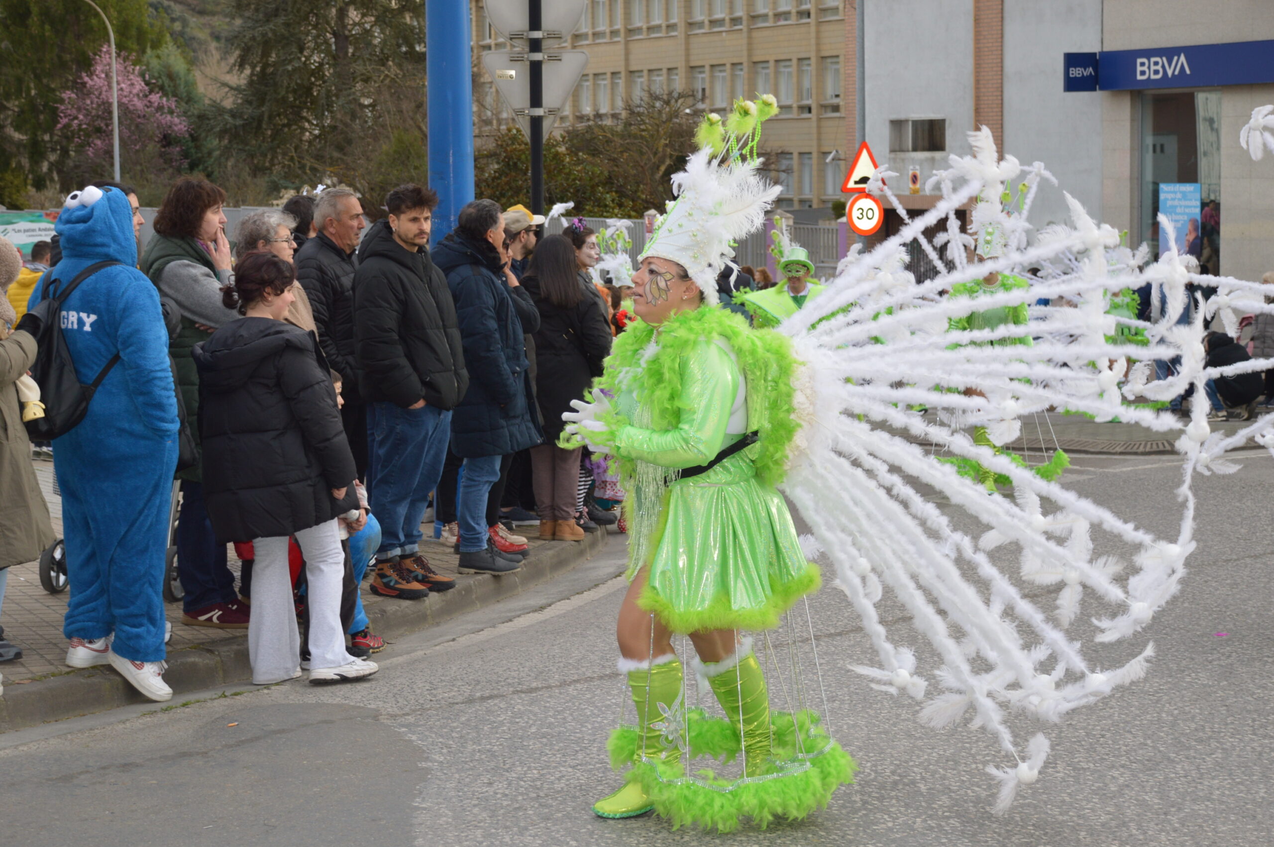 FOTOS | Carnaval Ponferrada 2025 | El tiempo respeta el tradicional desfile de disfraces 87