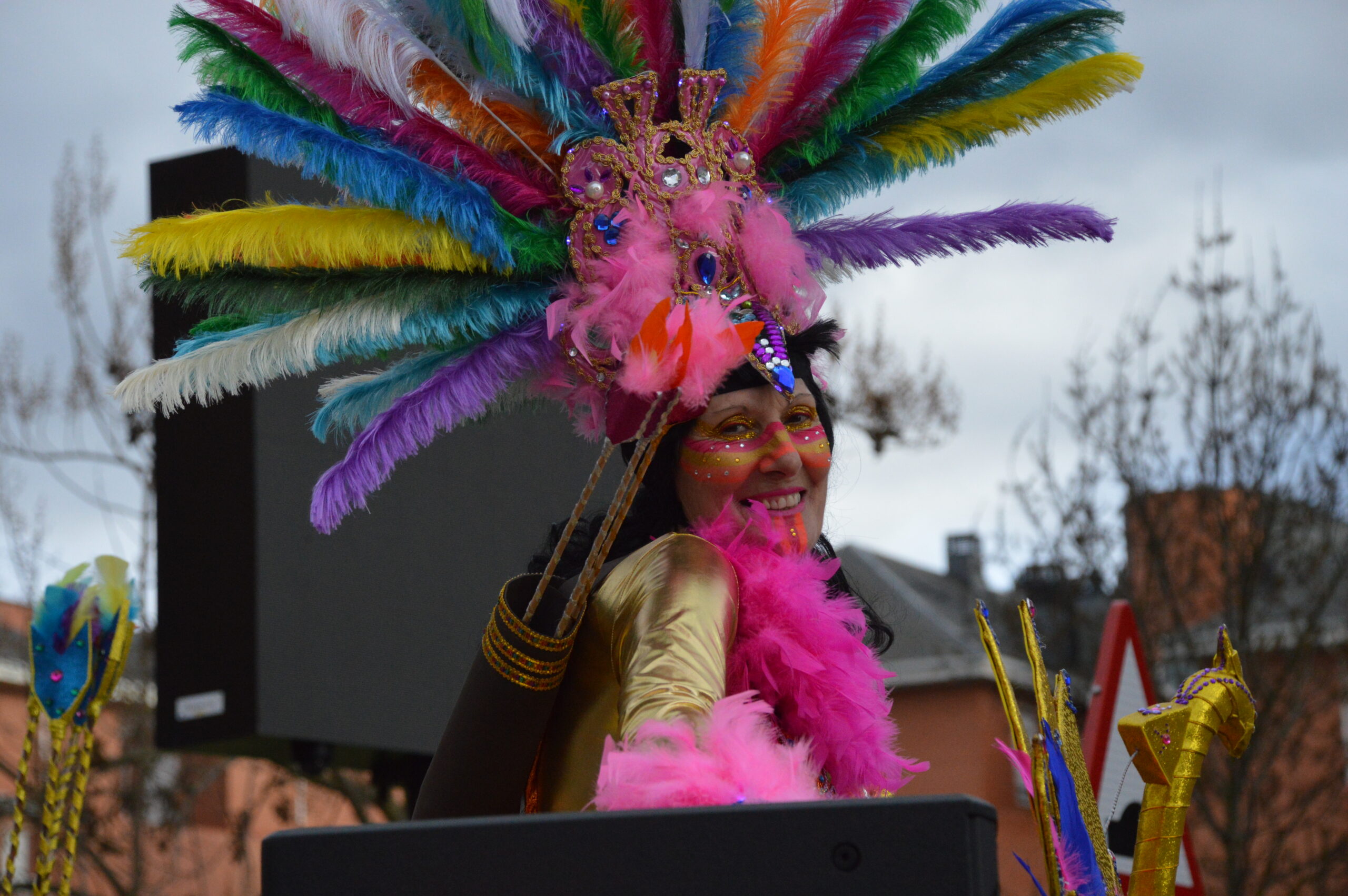 FOTOS | Carnaval Ponferrada 2025 | El tiempo respeta el tradicional desfile de disfraces 167