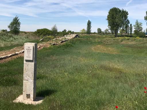 La Comisión de Los Caminos a Santiago por Castilla y León reconoce la Vía Aquitania como nuevo Camino Histórico 1