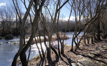 Adjudicadas las obras de ampliación de la zona de esparcimiento del Río Sil y de integración de la Gran Vía Reino de León con el Parque de la Concordia en Ponferrada 2