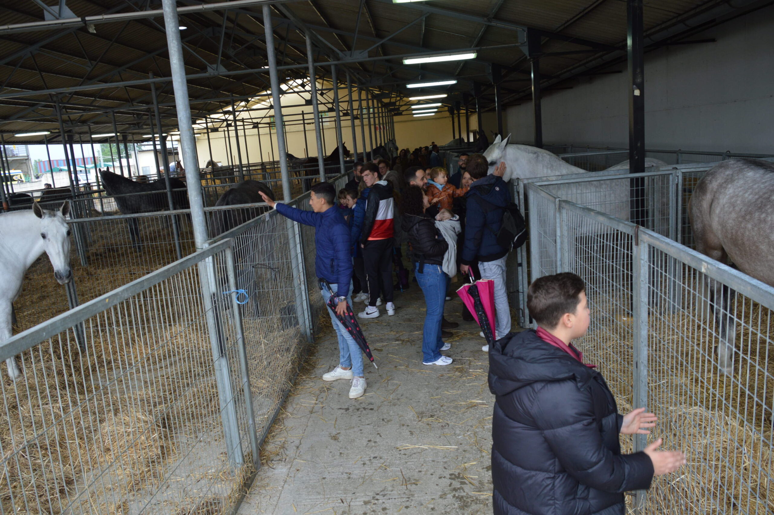 Las sevillanas y la exhibición de saltos luchan con la climatología en la Feria del Caballo de Camponaraya 8