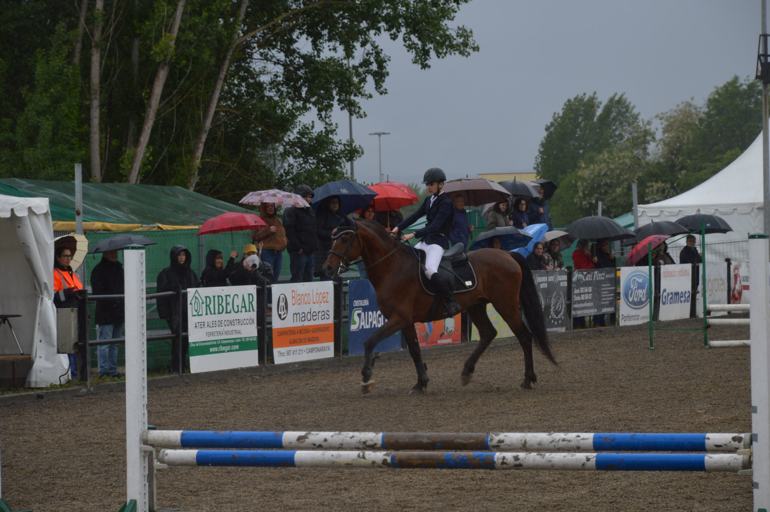 Las sevillanas y la exhibición de saltos luchan con la climatología en la Feria del Caballo de Camponaraya 10