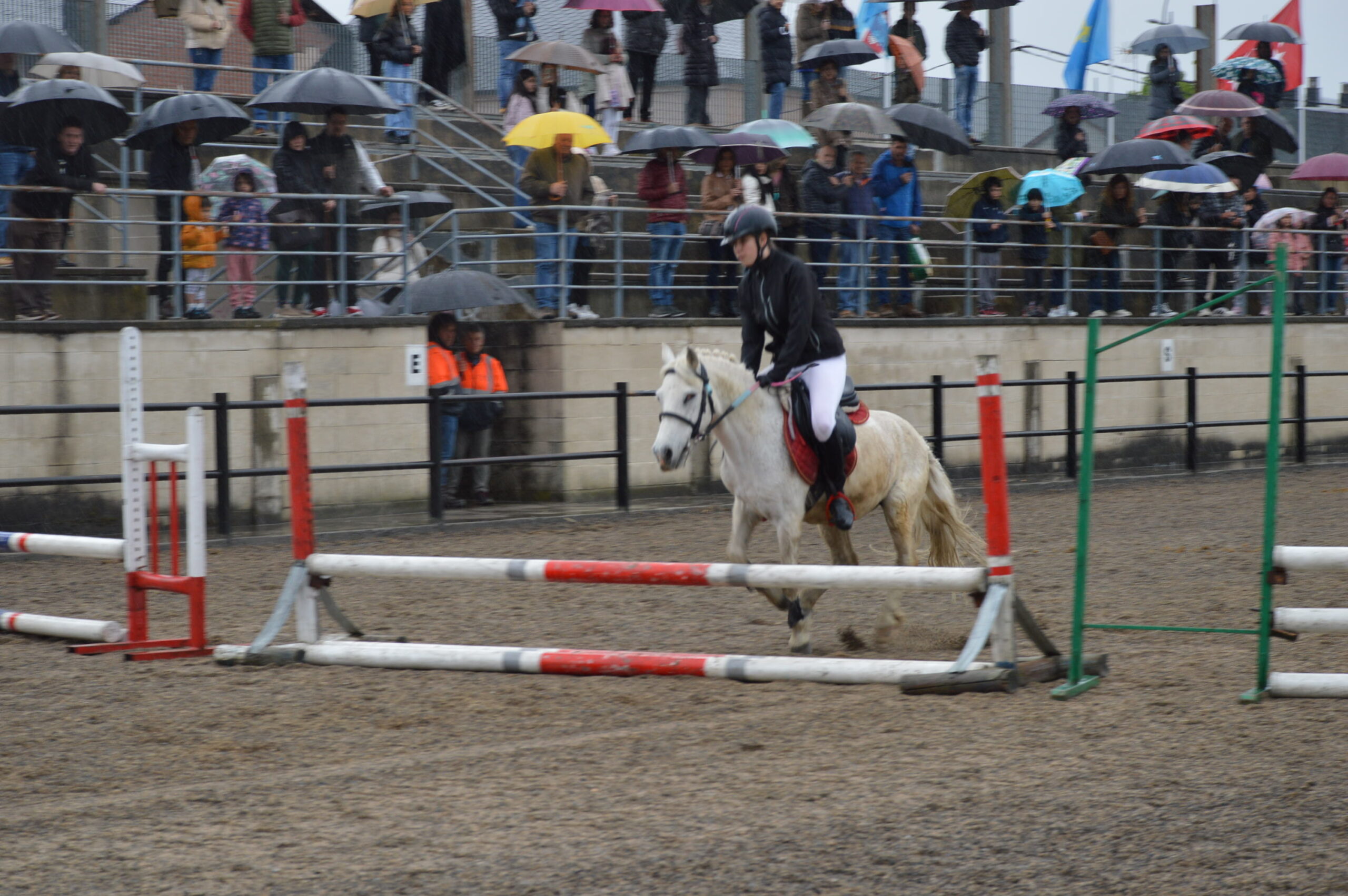 Las sevillanas y la exhibición de saltos luchan con la climatología en la Feria del Caballo de Camponaraya 14