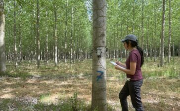 Una titulada del campus de Ponferrada, galardonada en los premios de la Sociedad Española de Ciencias Forestales 3