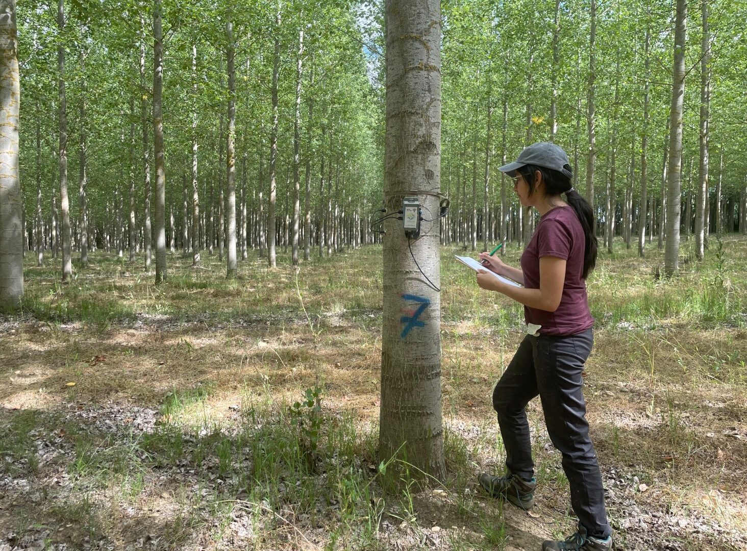 Una titulada del campus de Ponferrada, galardonada en los premios de la Sociedad Española de Ciencias Forestales 1