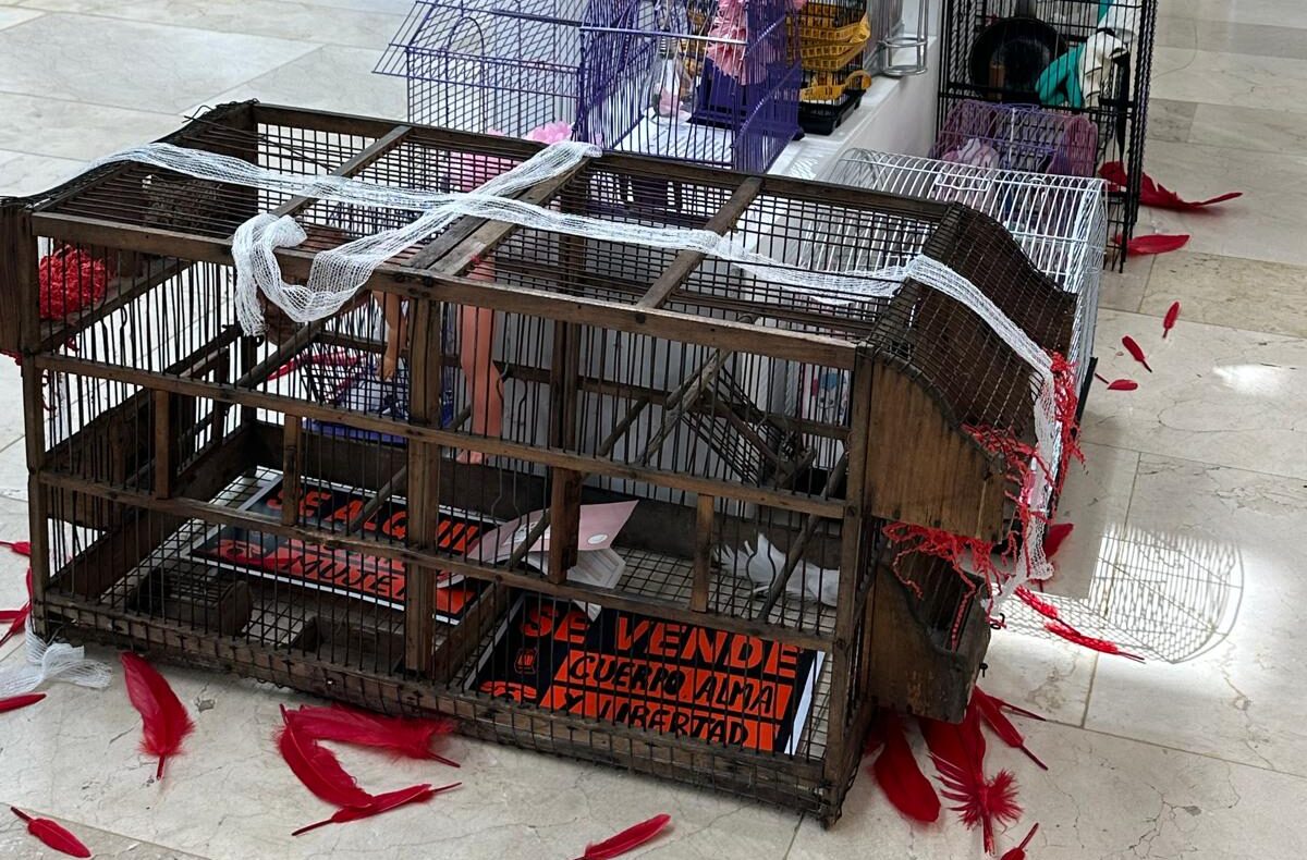 Arte brasileño y lucha contra la violencia de género llegan al campus de Ponferrada con dos exposiciones 1