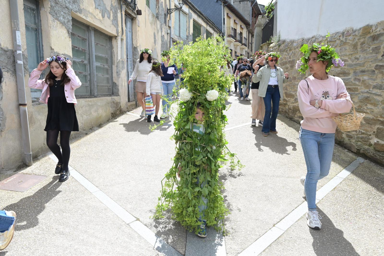 Villafranca del Bierzo revive su tradición ancestral con los Maios en una festividad llena de color y simbolismo 11 Villafranca del Bierzo revive su tradición ancestral con los Maios en una festividad llena de color y simbolismo 11