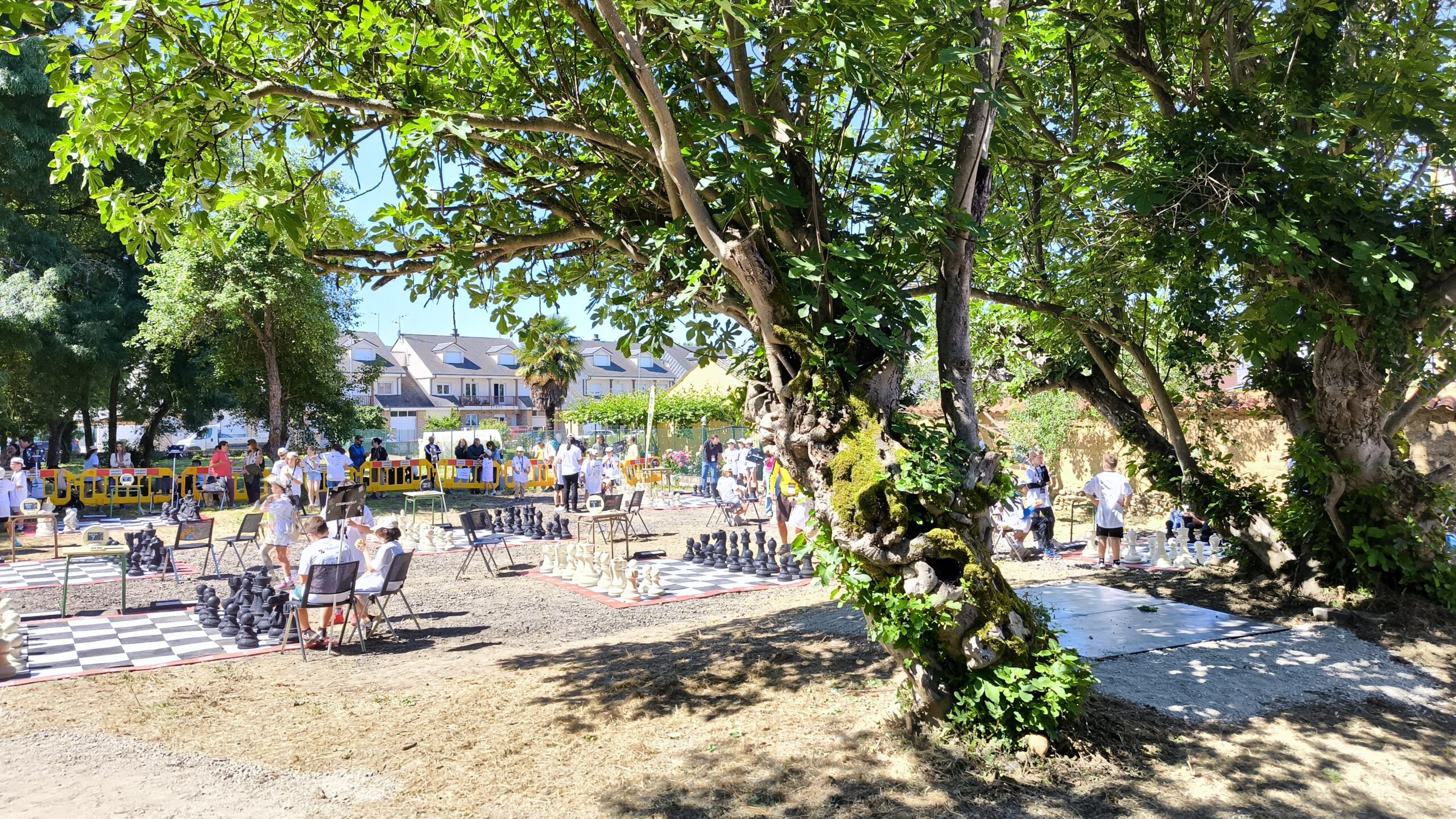 los Colegios del Bierzo se divierten participando en los "Pequeños Gigantes" de Camponaraya 8