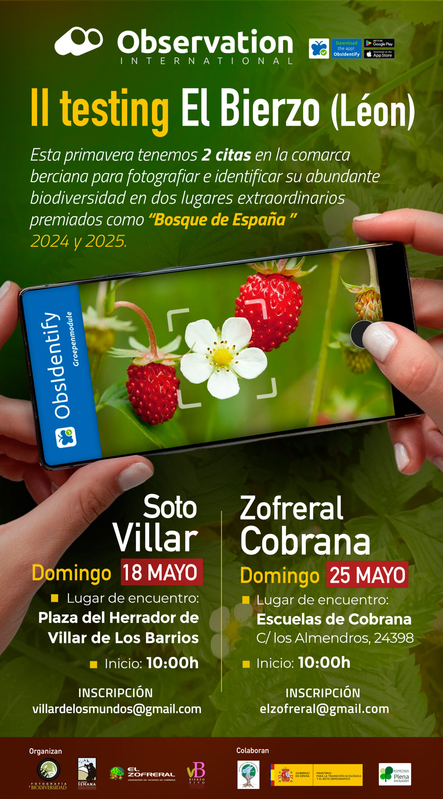 El Bierzo se Suma a "La Gran Semana de la Biodiversidad" con Actividades en Bosques Emblemáticos 2 El Bierzo se Suma a "La Gran Semana de la Biodiversidad" con Actividades en Bosques Emblemáticos 2