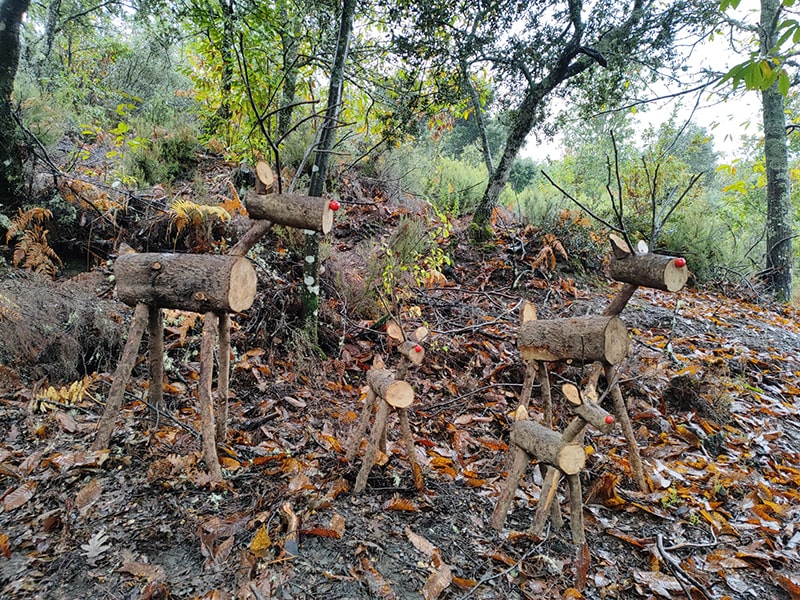 Senda Mágica El Fontanal en Fabero: una ruta perfecta para niños y familias en Fabero 3 Senda Mágica El Fontanal en Fabero: una ruta perfecta para niños y familias en Fabero 3