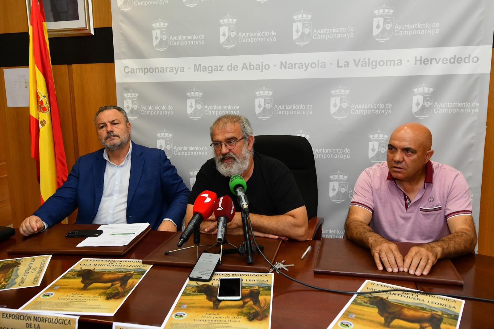 Camponaraya celebra la segunda exposición de la vaca mantequera leonesa para recuperar la tradición ganadera de la comarca 1