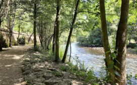 paseo del rio sil ponferrada
