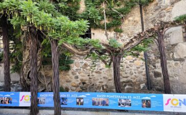 planes en ponferrada glicinia verano 2025