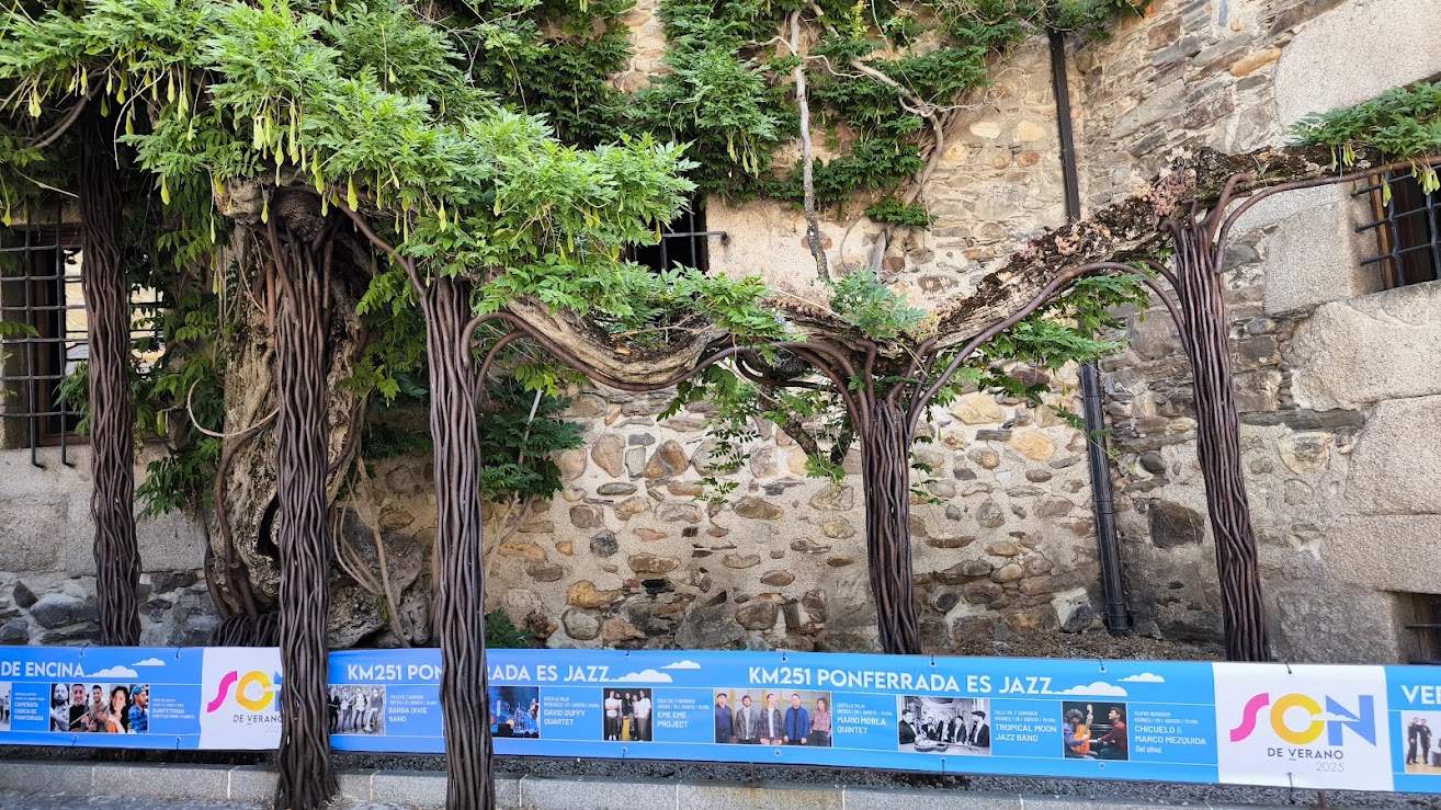 planes en ponferrada glicinia verano 2025