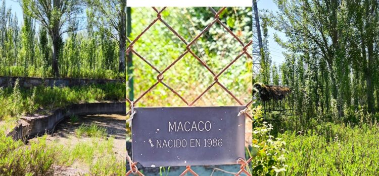 Imagen de lo que queda del zoo de compostilla