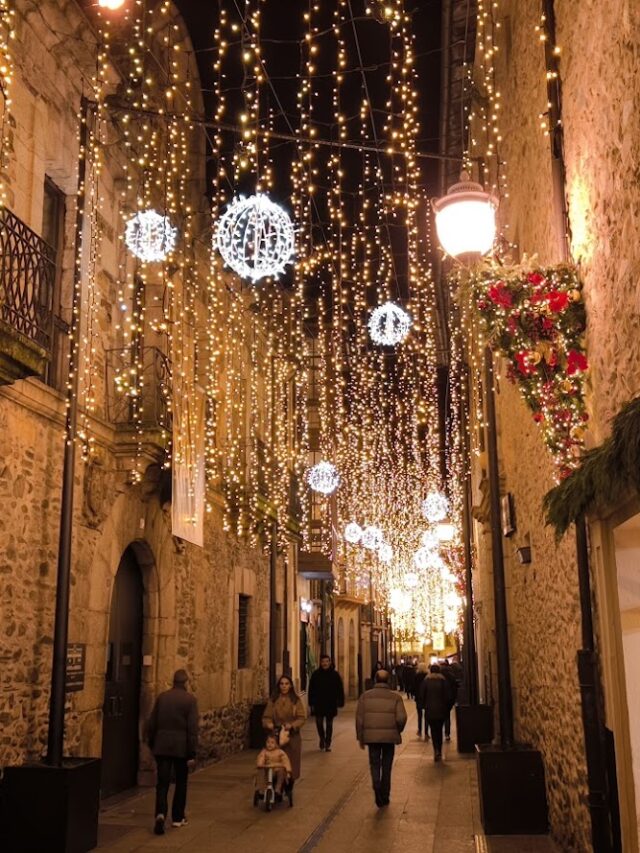 Planes para el fin de semana en Ponferrada y El Bierzo 19 al 21 de diciembre