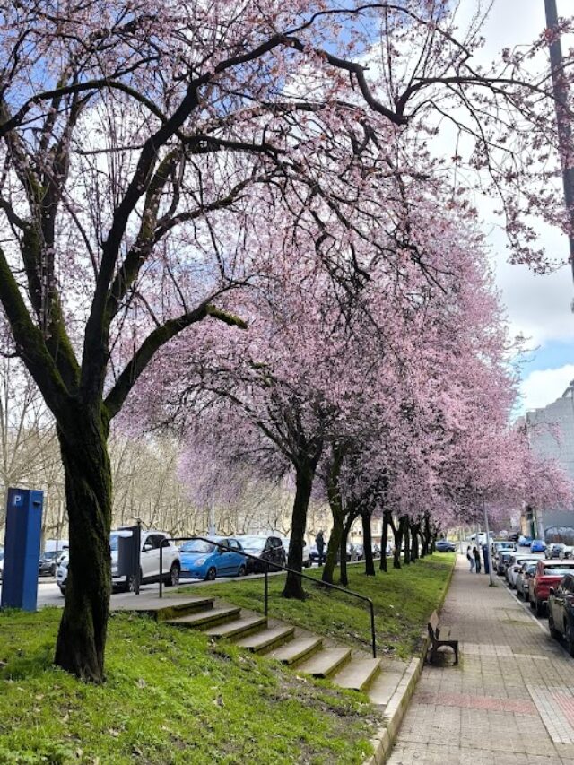Planes para el fin de semana en Ponferrada y El Bierzo 13 al 15 de marzo 2026