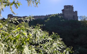 castillo desde puente ponferrada