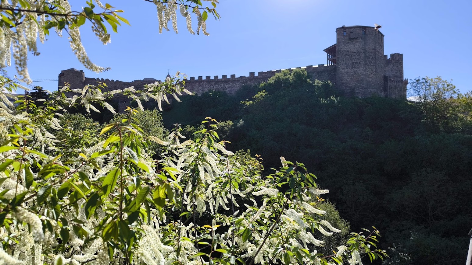 castillo desde puente ponferrada