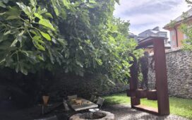 higuera